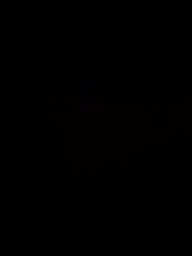 sansato133 online show from January 16, 4:11 pm