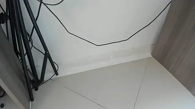 alice  tylor online show from November 2, 9:58 am