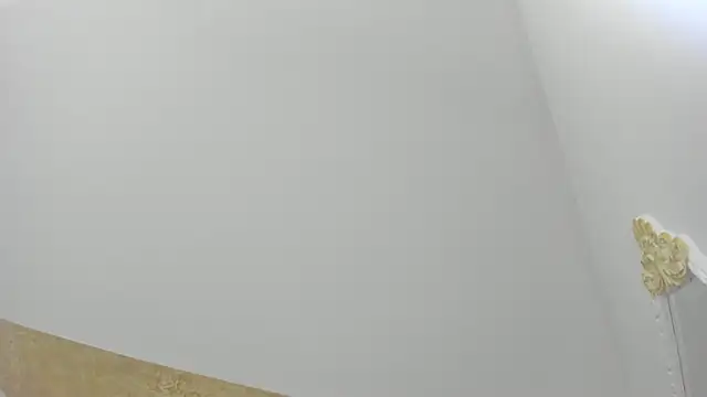 PandoraRider online show from March 31, 12:51 pm