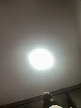 PandoraRider online show from April 3, 12:44 pm