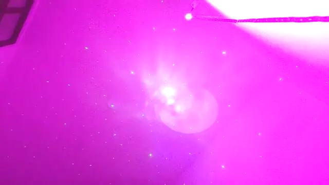 Tiramisu89 online show from March 29, 1:40 am