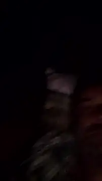 Gianlucazeis online show from June 3, 2:56 am