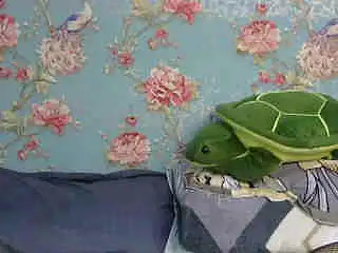 Tiny lusty online show from March 16, 8:21 pm