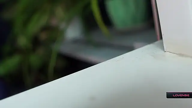  Phantom thread  online show from March 12, 8:18 am