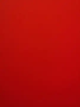 loinclothgay online show from May 29, 7:31 pm
