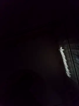 Snapshot of JasminePrice chatting on November 24, 4:01 am JasminePrice online show from November 24, 4:01 am