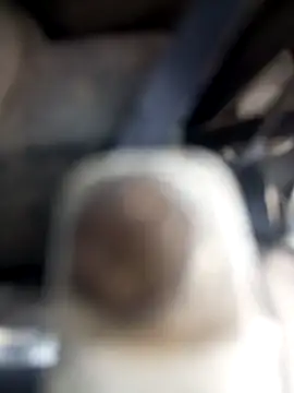 Snapshot of sadunt chatting on January 23, 9:08 am sadunt online show from January 23, 9:08 am