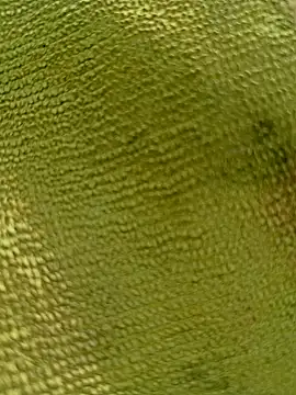 Snapshot of sadunt chatting on December 17, 9:36 am sadunt online show from December 17, 9:36 am