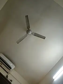 Palak 4u online show from March 26, 6:55 am