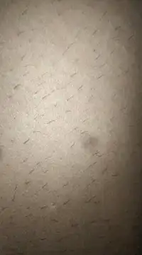 rohitlov150 online show from March 11, 12:50 pm