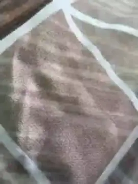 Snapshot of rohitlov150 chatting on March 16, 10:19 am rohitlov150 online show from March 16, 10:19 am