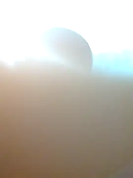 Jair BM online show from March 17, 4:29 am