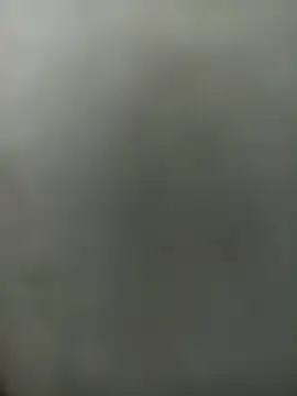 wildfox566 online show from March 30, 3:41 am