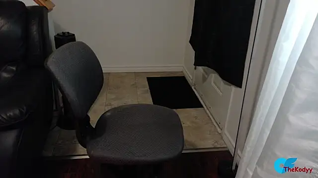 Thekodyy online show from February 10, 2:16 pm