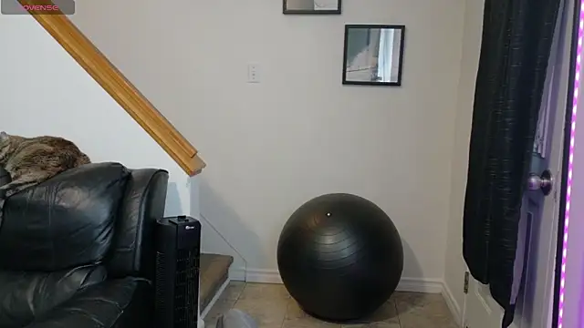 Snapshot of Thekodyy chatting on November 12, 1:59 pm Thekodyy online show from November 12, 1:59 pm