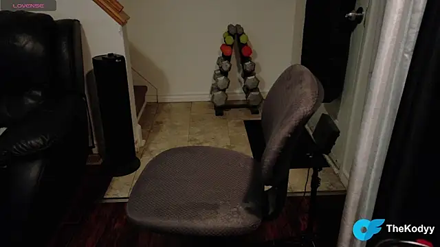 Thekodyy online show from January 17, 8:07 am