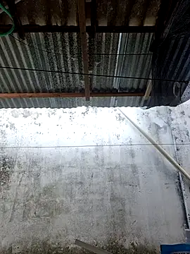      sams online show from March 11, 8:47 pm