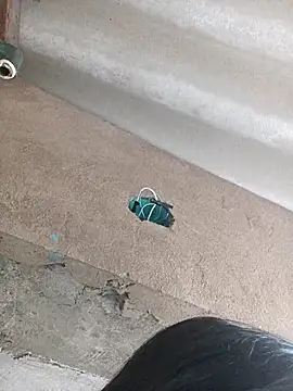 Little Pau Dirty online show from October 27, 11:11 am