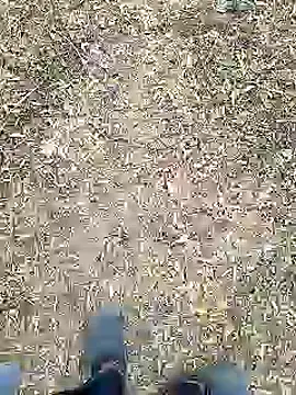 Snapshot of Mrveda66 chatting on February 10, 11:09 am Mrveda66 online show from February 10, 11:09 am