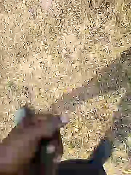 Snapshot of Mrveda66 chatting on February 18, 10:01 am Mrveda66 online show from February 18, 10:01 am