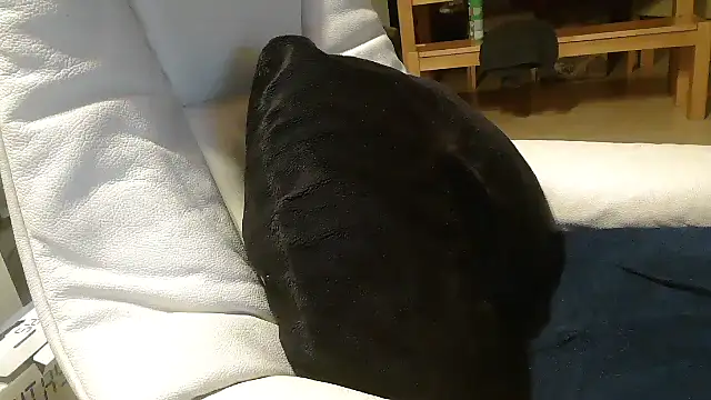 defttonguexxx online show from January 8, 9:21 pm