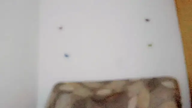 TatiGil online show from April 10, 8:49 pm