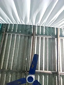 Snapshot of hotbaby_5 chatting on November 22, 6:34 am hotbaby 5 online show from November 22, 6:34 am