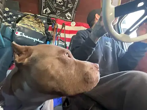 Snapshot of XMeF10 chatting on November 23, 3:22 pm XMeF10 online show from November 23, 3:22 pm