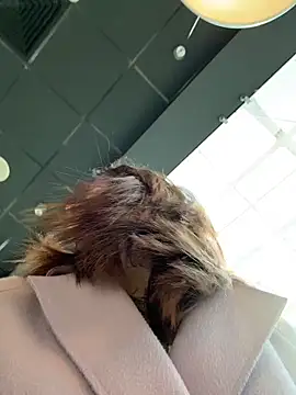 Dina Tease online show from March 21, 10:31 am