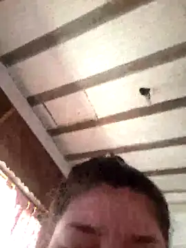 CAT28004 online show from November 15, 3:38 pm