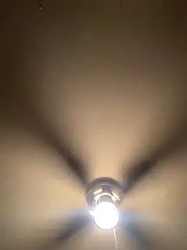 thiccplamp online show from November 29, 3:39 am