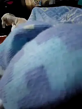 Camilo-31RI online show from April 3, 7:20 pm