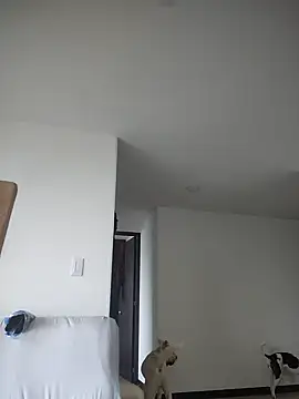 Snapshot of 911Calling chatting on February 4, 9:41 pm 911Calling online show from February 4, 9:41 pm