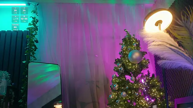 aarimass online show from December 21, 3:36 pm