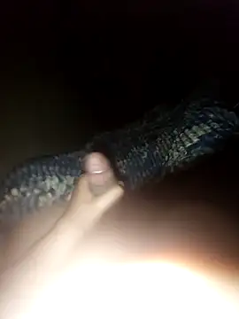 ch   ro69 online show from October 18, 3:30 am