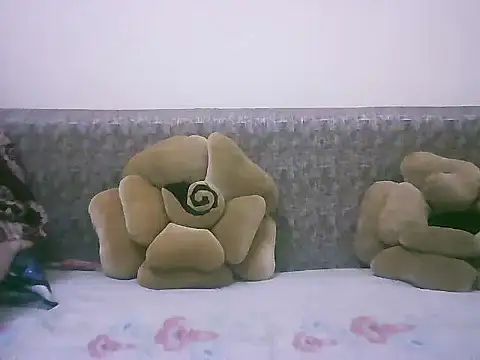 LOVE-SUSHILA online show from November 7, 8:30 am