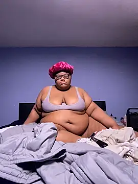 dondivax3 online show from February 7, 8:55 am