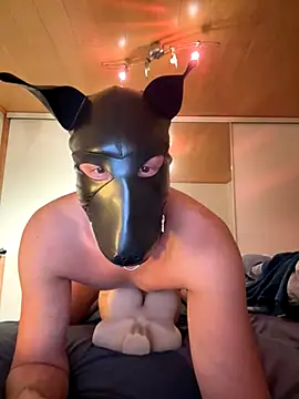 PlayDog123 online show from November 27, 4:40 pm