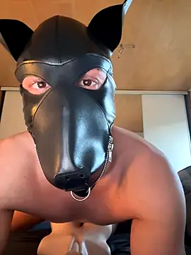 Snapshot of PlayDog123 chatting on November 4, 3:16 pm PlayDog123 online show from November 4, 3:16 pm