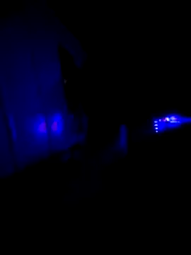 KAZADO LIBERAL online show from February 22, 11:34 am