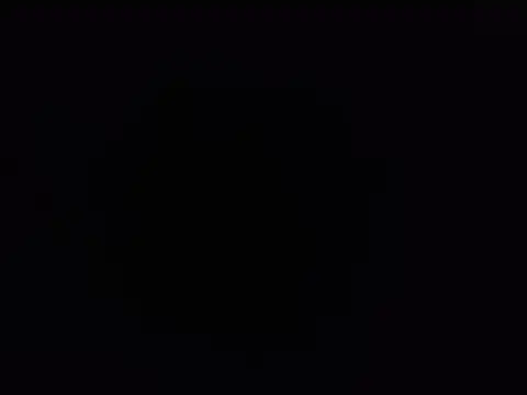 SALLY OMAR  online show from November 12, 5:06 pm