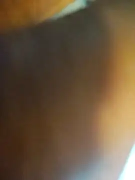 ptrz990 online show from February 17, 1:52 pm