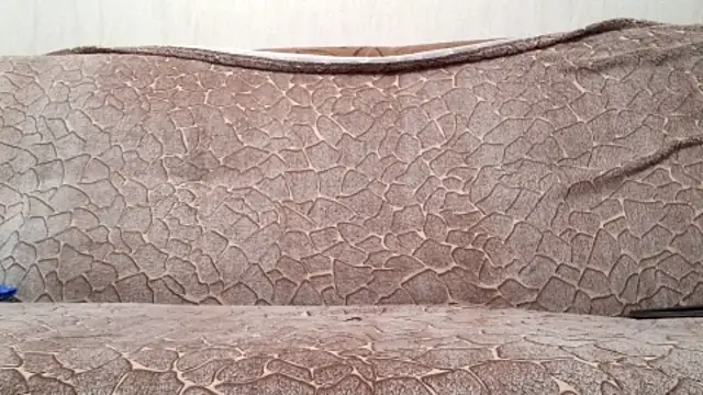 AlDON59 online show from November 28, 8:03 am