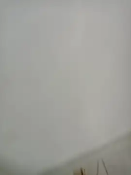 Snapshot of Elber24 chatting on December 4, 4:33 am Elber24 online show from December 4, 4:33 am