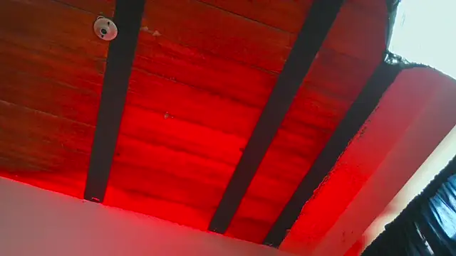 Leonnardo Jaramillo online show from February 25, 1:10 pm