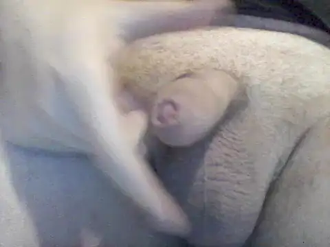 Snapshot of Lovelabite2 chatting on February 17, 5:12 pm Lovelabite2 online show from February 17, 5:12 pm