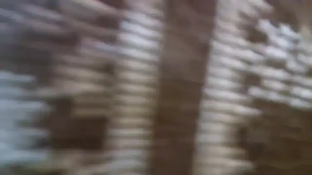 Snapshot of 10Wien11F chatting on March 2, 9:19 pm 10Wien11F online show from March 2, 9:19 pm