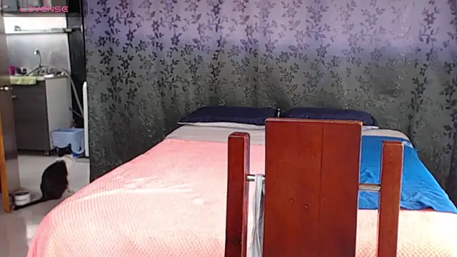 miia-big1boobs  online show from July 9, 8:30 pm