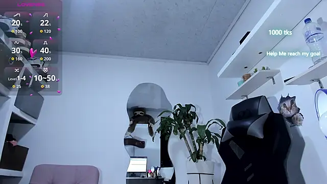 emily palmeer online show from October 6, 10:27 am