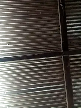 Huebolocko online show from December 3, 6:22 pm